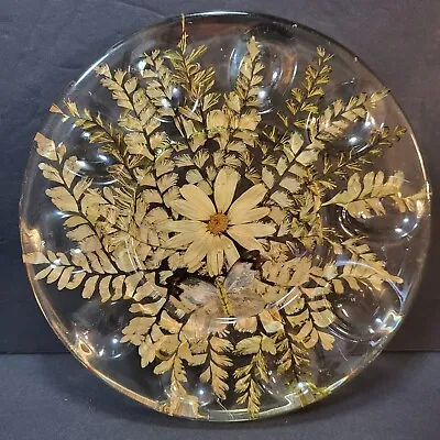 Vtg Lucite Deviled Egg Plate Dried Flowers Butterfly Ferns 10 Slots 8  MCM Flaw • $15