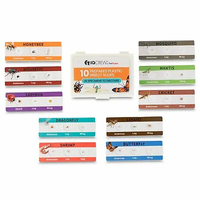 Colorful 10 Plastic Sets Prepared Microscope Slides - 30 Unique Insect Specimens • $14.99