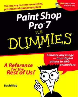 Paint Shop Pro 7 For Dummies David C. Kay Used; Good Book • £6.73