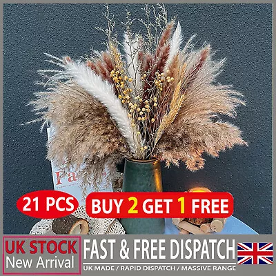 21 PCS Natural Dried Pampas Grass Reed Flower Wheat Bunch DIY Home Decor UK • £5.69