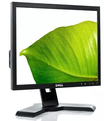 $55 • Buy DELL Ultrasharp 19  Inch LCD Monitor Screen 190SB VGA DVI Height/Rotatable *USED