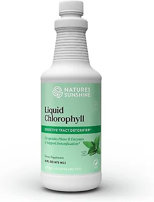 Nature's Sunshine Chlorophyll Liquid 16 Fl.oz Kosher Fresh Mint Chlorophyllin • $35