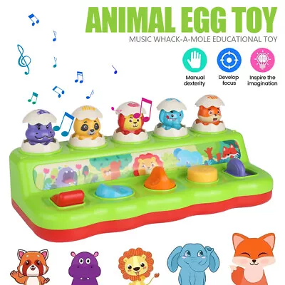 Toddler Sensory Toys Whack A Mole Game Baby Musical Toys For 1-6 Year Old Boys • $32.90