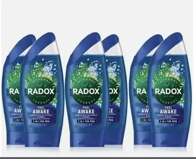 6 X Radox Feel Awake For Men 2-in-1 Shower Gel & Shampoo 250ml With Hooks • £13.99