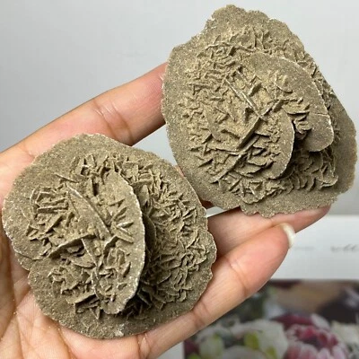 $17.50 • Buy Desert Rose Selenite Stone Natural Quartz Crystal Reiki Healing Mineral Specimen