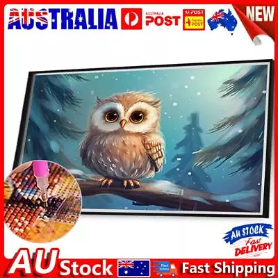 5D DIY Full Round Drill Diamond Painting Snowy Owl Kit Home Decor 40x30cm • $9.28