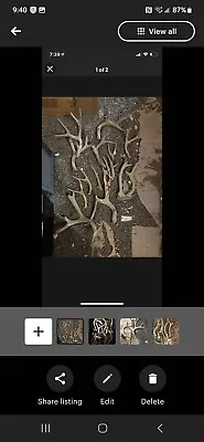 10 Pounds Of Scrap Mule Deer Sheds Antlers Horns Elk Moose Rack • $55
