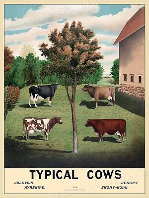 1904  Typical Cows  Vintage Style Classic Cow Identification Poster - 20x28 • $16.95
