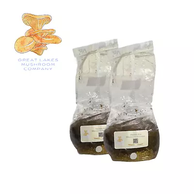 2pack! All In One 2x 5lb Sterilized Mushroom Masters Mix Bag • $32.99