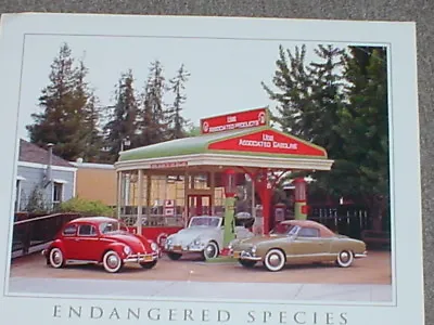 Endangered Species Volkswagen-VW Classics Wall Decor Art Print Poster (16x20)  • $18.99