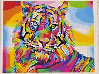 DIY Paint By Numbers Framed Canvas Art Pack 30 X 40cm - Colourful Tiger • $26.99