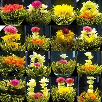 $10.99 • Buy 16 Pcs CHINA Blooming Flower Tea Balls,GREEN JASMINE White Herbal Flowering TEE
