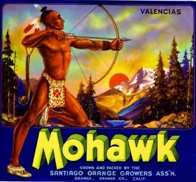 Mohawk Indian Orange County Ca Citrus Fruit Crate Label Vintage Retro Art Print • $12.50