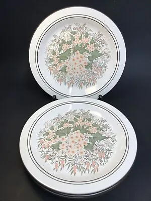 Set Of 4 Vintage Hornsea Cascade Dinner Plates 25cm Diameter • £28