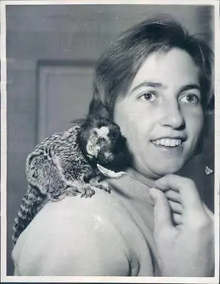 1961 Press Photo England Janine Higgs & Big-Eyed Marmoset Monkey - Ner7941 • $19.99