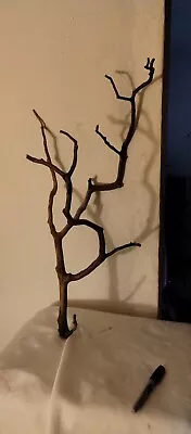 #516 Manzanita Bird Perch BranchHome Decor • $60