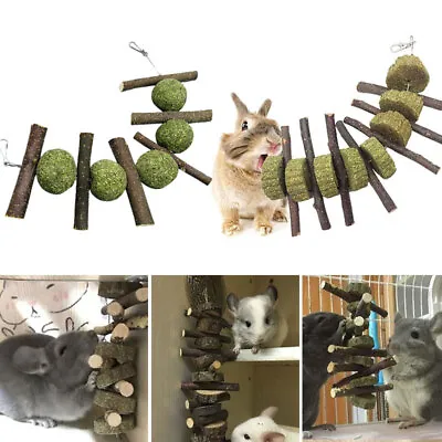 Rabbit Hamster Small Animal Teeth Grass Cookie Grinding Toy Skewers Hanging Cage • £6.64