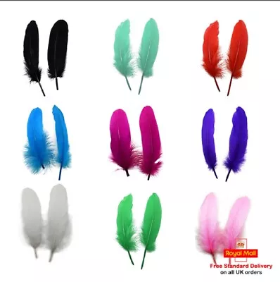 ATST® 10 Solid Colour Goose Feathers - For Craft Cards Floristry Hats 15-20cm • £2.74