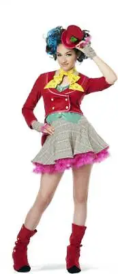 Marvelous Mad Hatter Tea Party Alice In Wonderland Eccentric Tween Girls Costume • $6.75