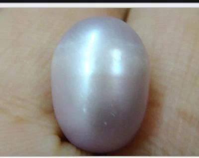 $4.99 • Buy Huge 12.1188x10.4688mm South Sea Genuine Purple Loose Pearl Undrilled