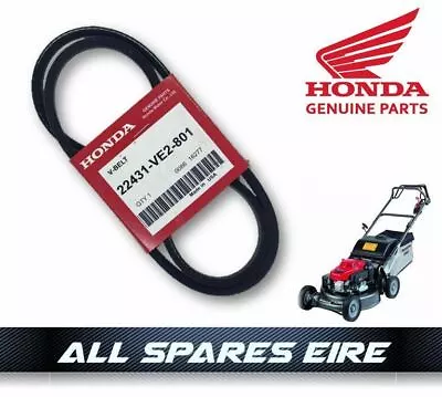 Genuine Honda Drive Belt Hrm215 Hrb215 Hrb535 Hrd535 Hrd536 Mower 22431-ve2-801 • £19.95