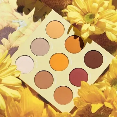 Colourpop Lil` Ray Of Sunshine Eyeshadow Palette. Genuine. Beautiful Shades. • £4.99