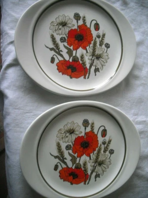 £12.99 • Buy 2 J & G Meakin POPPY Design Oval Dinner Plates