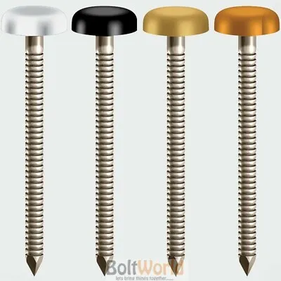 £18.25 • Buy Plastic Headed Top Steel Nails Pins  Plastop, Upvc Fascia Soffit Cladding