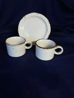 Wedgwood  CREATION . Midwinter Stoneware Group  Bread & Butter Plate And 2 Cup • $12