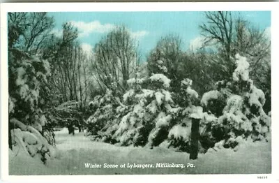 Mifflinburg PA Winter At Lybargers • $11.88