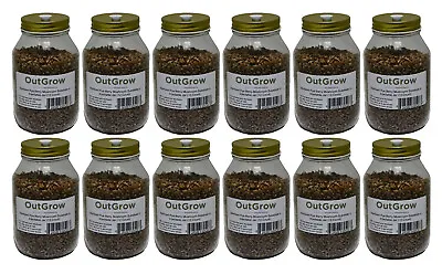 Sterilized Rye Grains For Mushroom Cultivation - Quart Jar With Injection Port • $172.49