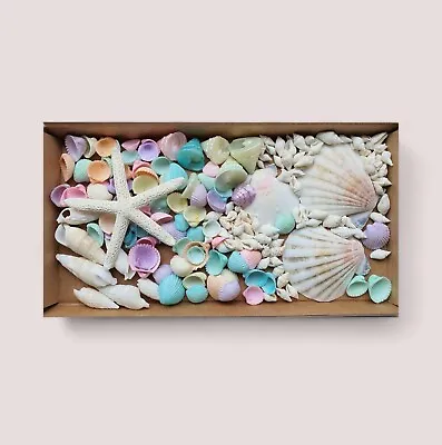 Mixed Shell Pastel Colour Seashells + Starfish! 100+ Craft Beach Art Shells • £7.99