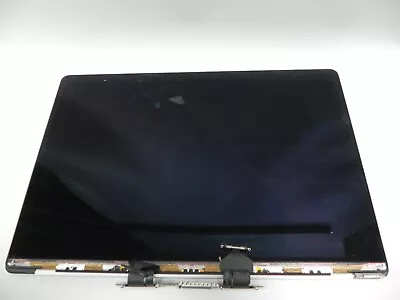 Apple Macbook Pro 15” A1707 2016 2017 Silver Screen Assembly FOR PARTS OR REPAIR • $35