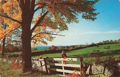 Mount Holly NJ New Jersey Scenic Fall Country Girl On Fence Vintage Postcard • $6.39