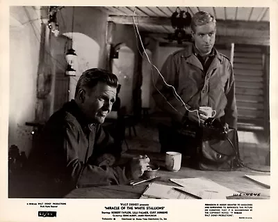 James Franciscus In Miracle Of The White Stallions (1963) 🎬⭐  Photo K 467 • $19.99