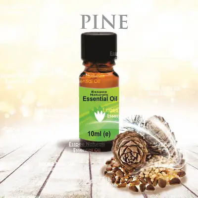 £1.60 • Buy Pine Needles Essential Oil 10ml - 100% Pure - For Aromatherapy & Home Fragrance