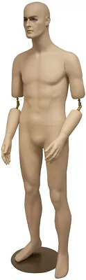 Fiberglass Realistic Adult Male Short Height Mannequin With Movable Elbows • $314