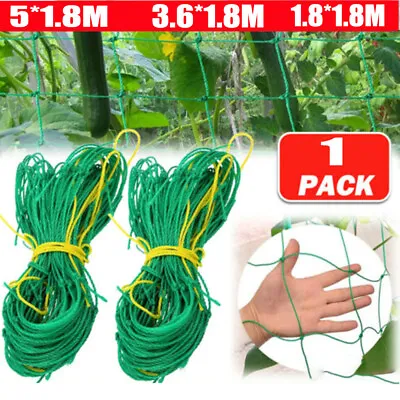 £7.38 • Buy Garden Net Climbing Plant Support Mesh Netting Clematis Cucumber Bean Trellis UK