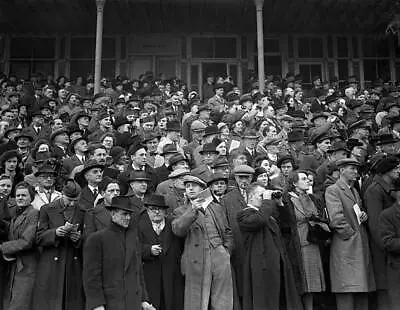 Horse Racing Crowds Watch The Jumpers During The Cheltenham Gold Cup Old Photo • $9