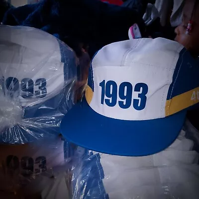  1993  5-Panel Hat POLO INSPIRED VTG • $25