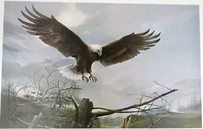 'Spirit Of Freedom' Bald Eagle Print By Mario F Fernandez Signed Proof 4/20 1981 • $149.99