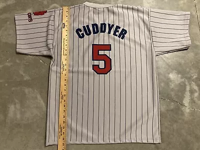 Minnesota Twins Michael Cuddyer #5 Gray Player Shirt Jersey Size L Pinstripe EUC • $9.95