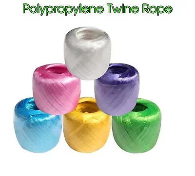 Polypropylene Twine Plastic Rope Household Bundled Decorative Wear-Resistant 20m • $5.74