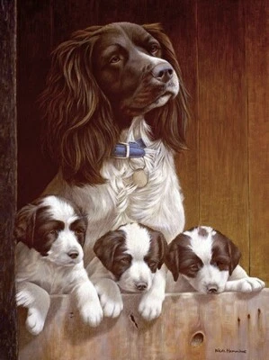 £89 • Buy Nigel Hemming ALL ABOVE BOARD Springer Spaniels, Art Canine Ltd Edition  #1