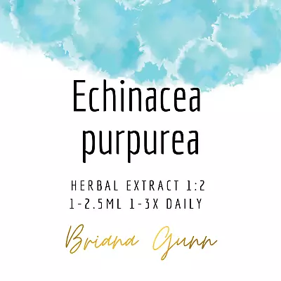 Echinacea Purpurea Liquid Herbal Extract  • $24