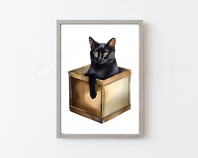 Black Cat Coming Out Of A Cardboard Box Wall Art Print 8x10 Poster Decor • £8