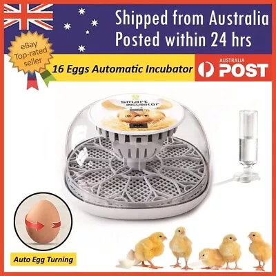 Automatic Egg Incubator Digital Fully 16Eggs Poultry Hatcher Chicken Duck • $64.99