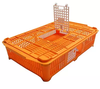 Baby Chick & Grown Quail Coop (0299) • $119.99