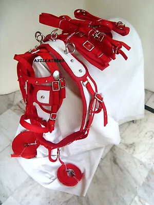 Exclusive Quality Horse Driving Harness For Single Horse Cart | Red/White | • $199