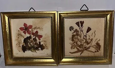 Vintage Framed Dried Pressed Flowers Switzerland/Austria Set Of 2 Miniatures • $12